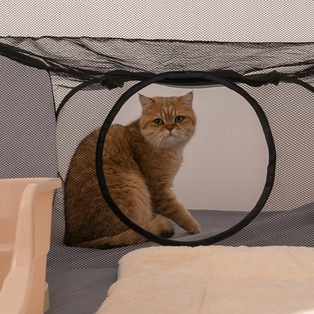 Tunnel pour chats ou rongeurs pliable