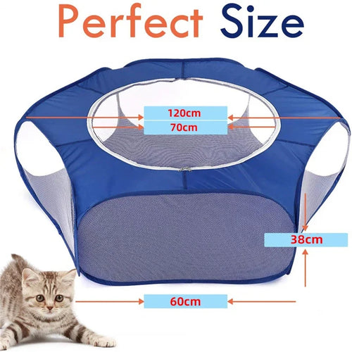 Cage portable transparente pour petits animaux de compagnie