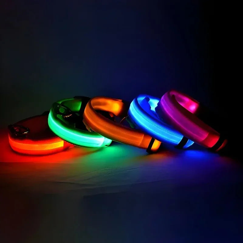 Collier pour chien LED