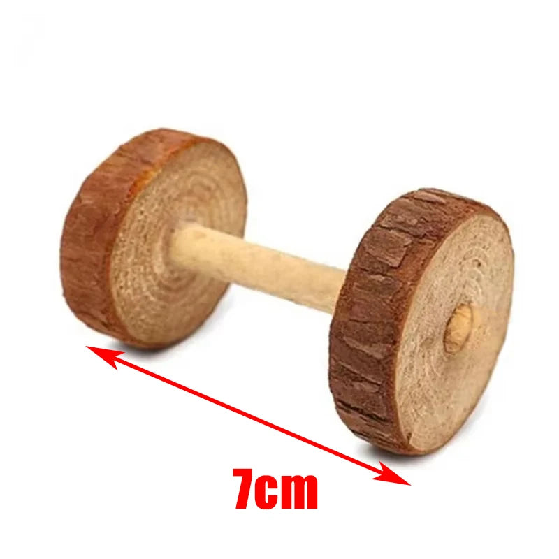 Jouets à roulettes pour petits animaux (cochon d'Inde, lapin, hamster)