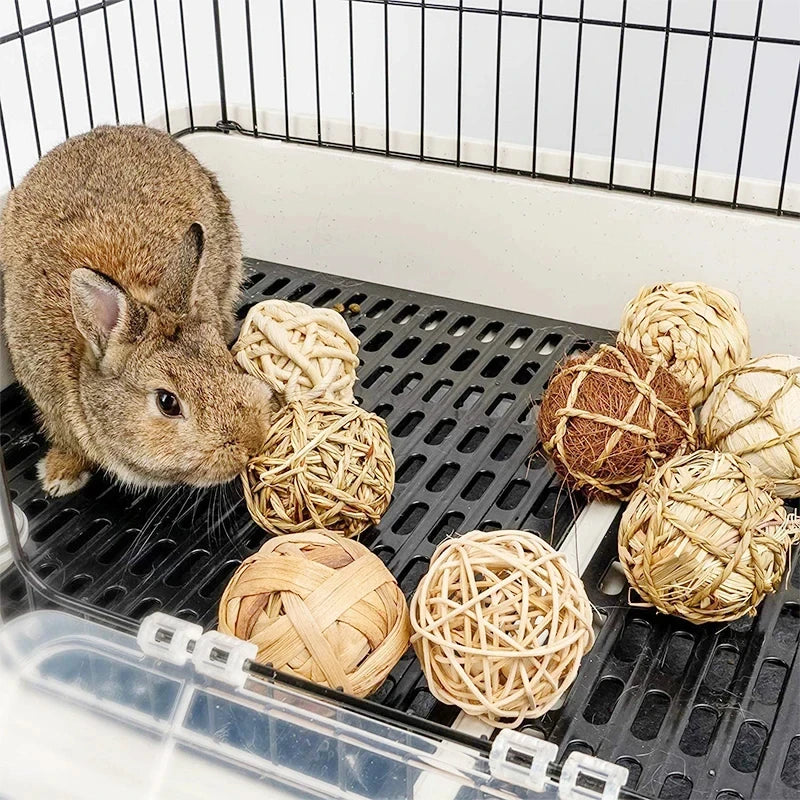 Jouets à roulettes pour petits animaux (cochon d'Inde, lapin, hamster)