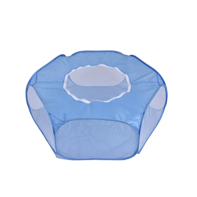 Cage portable transparente pour petits animaux de compagnie