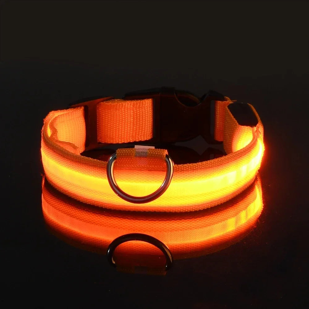 Collier pour chien LED