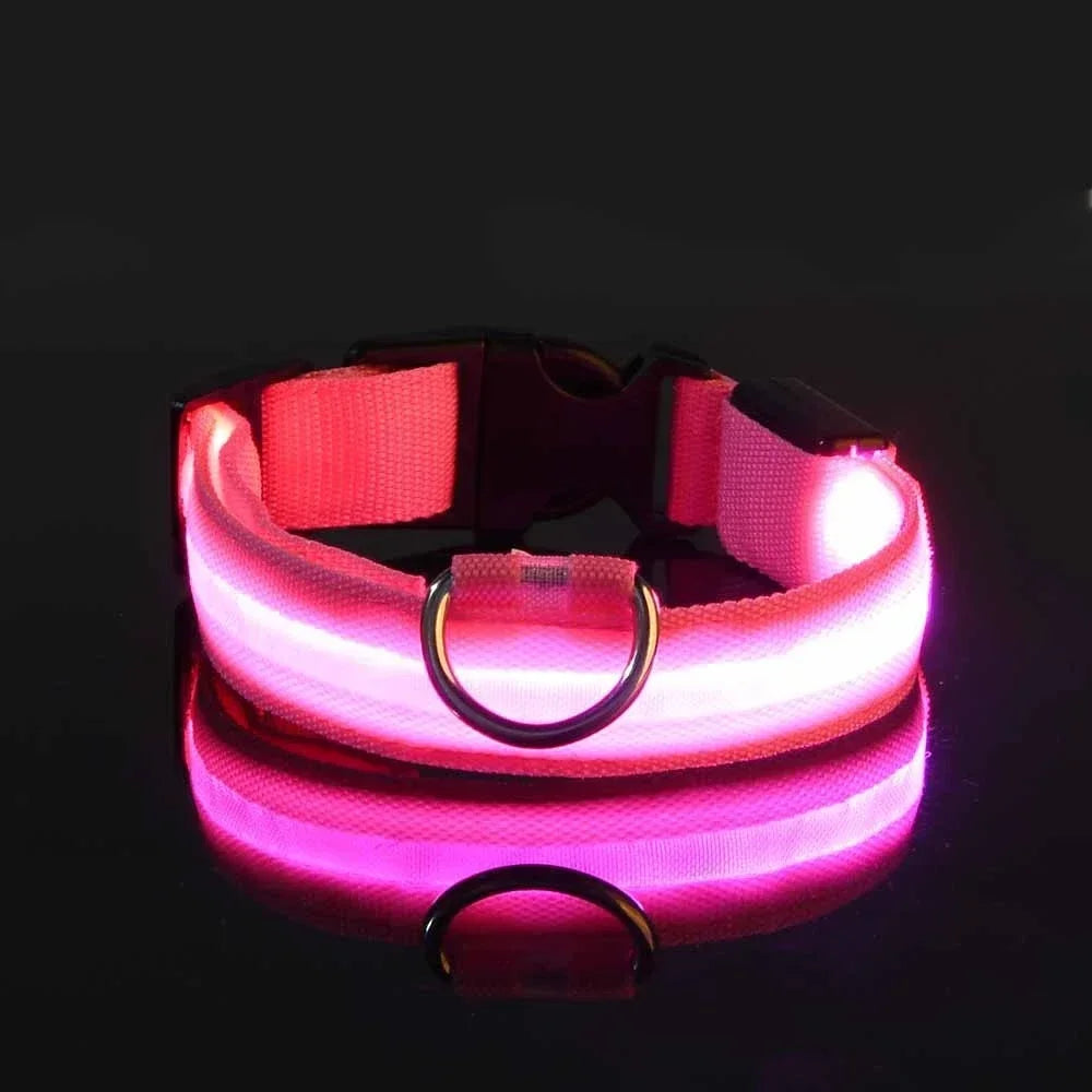 Collier pour chien LED