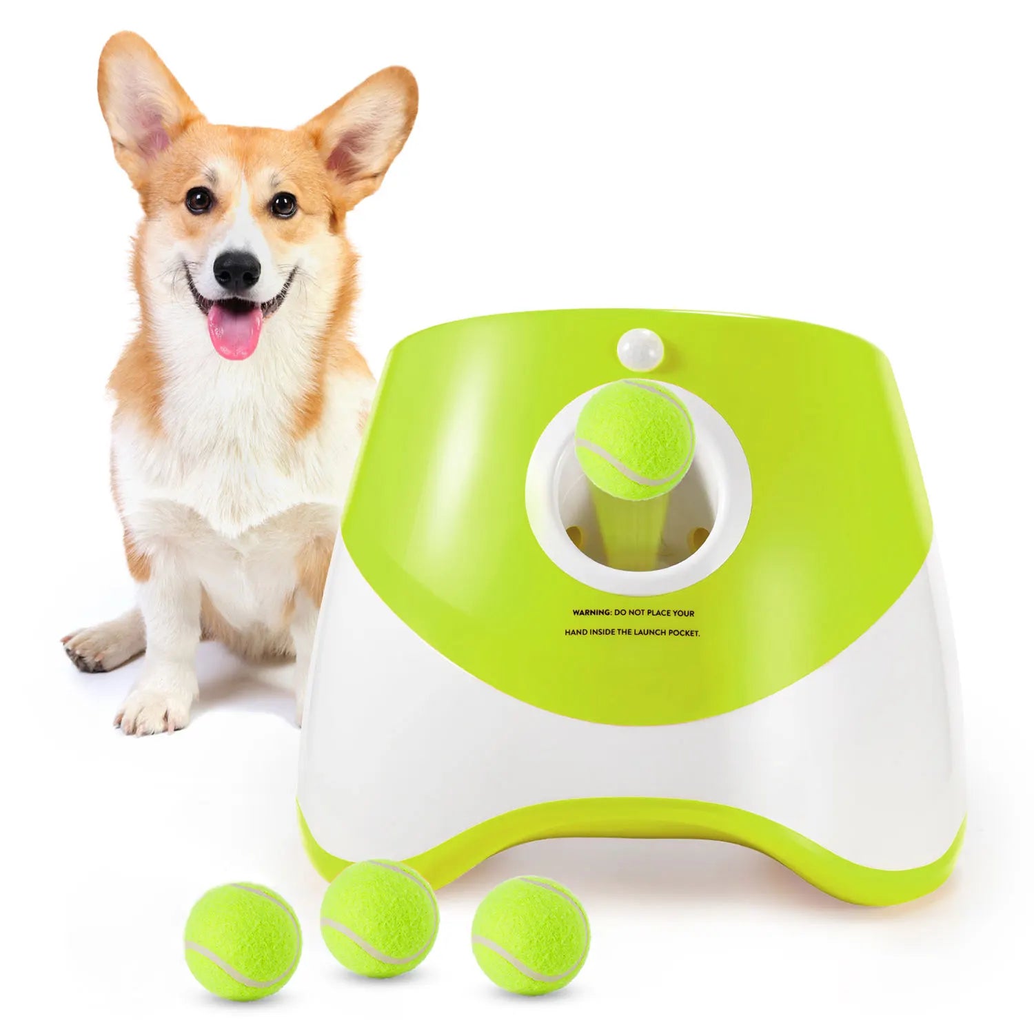 Lanceur de balles de tennis automatique pour chiens