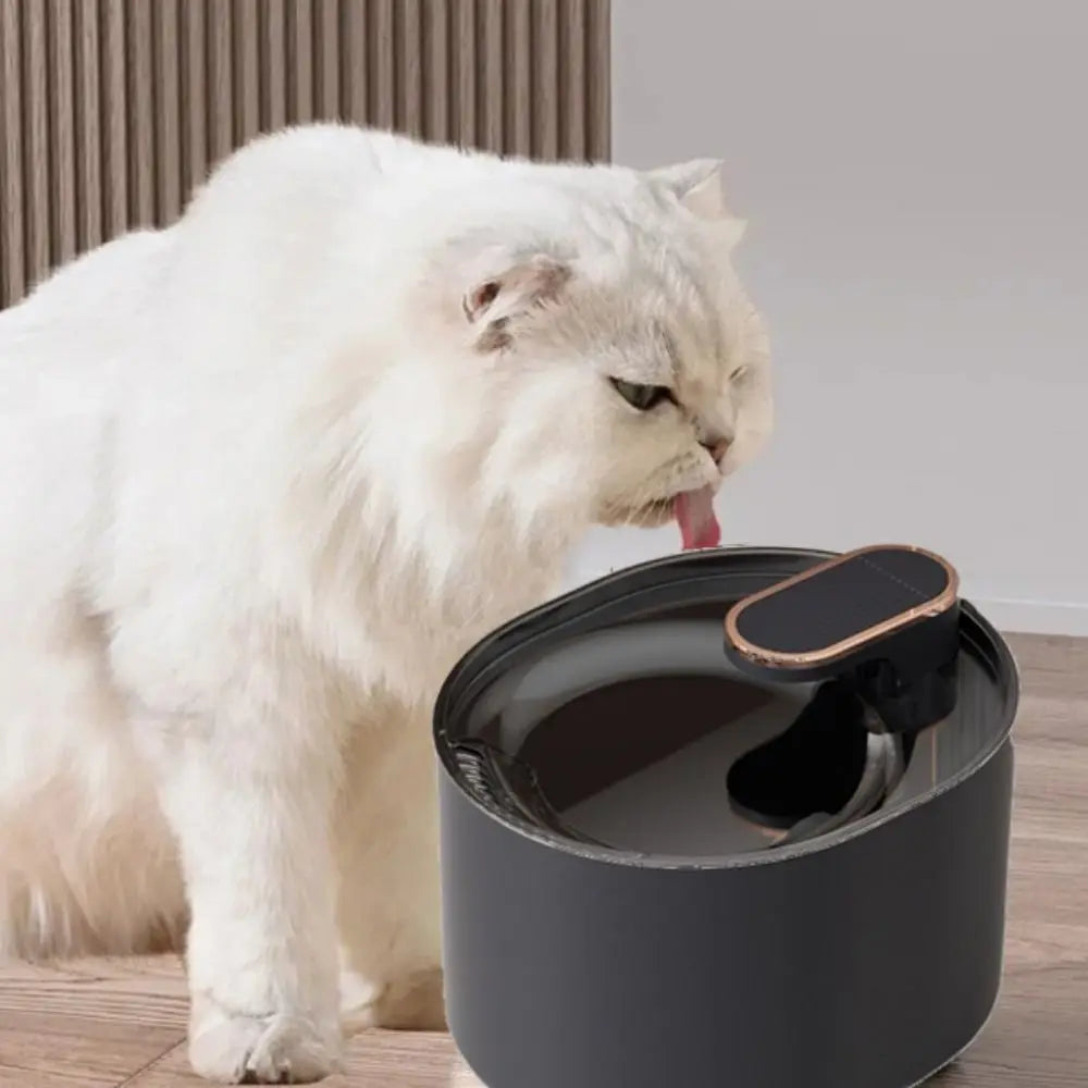 Fontaine à eau automatique pour chat de 3 litres