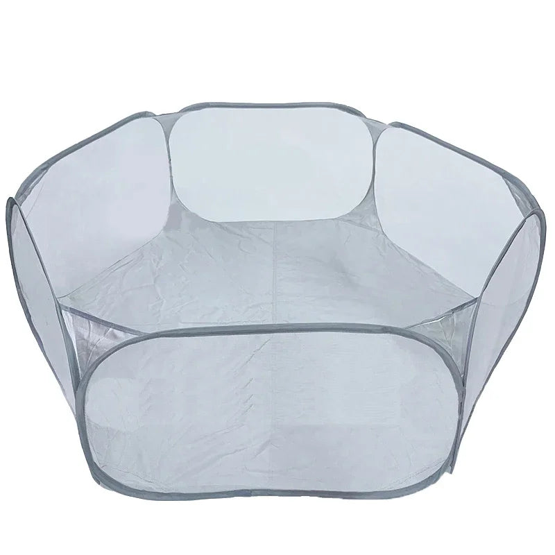 Cage portable transparente pour petits animaux de compagnie