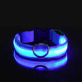 Collier pour chien LED