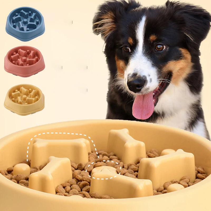 Gamelle anti-glouton antidérapante pour chien et chat