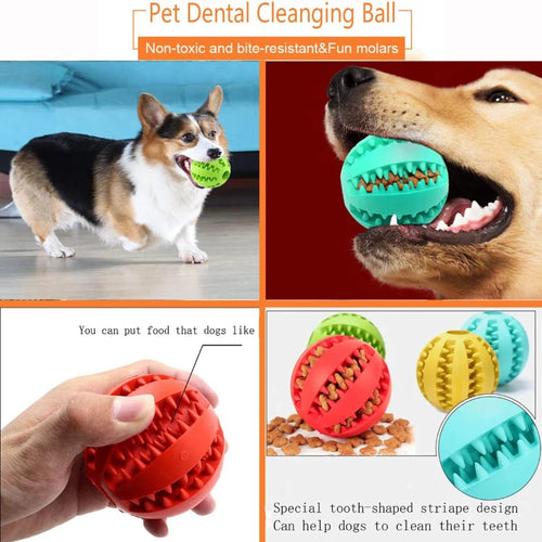 Balle interactive pour chien/chat