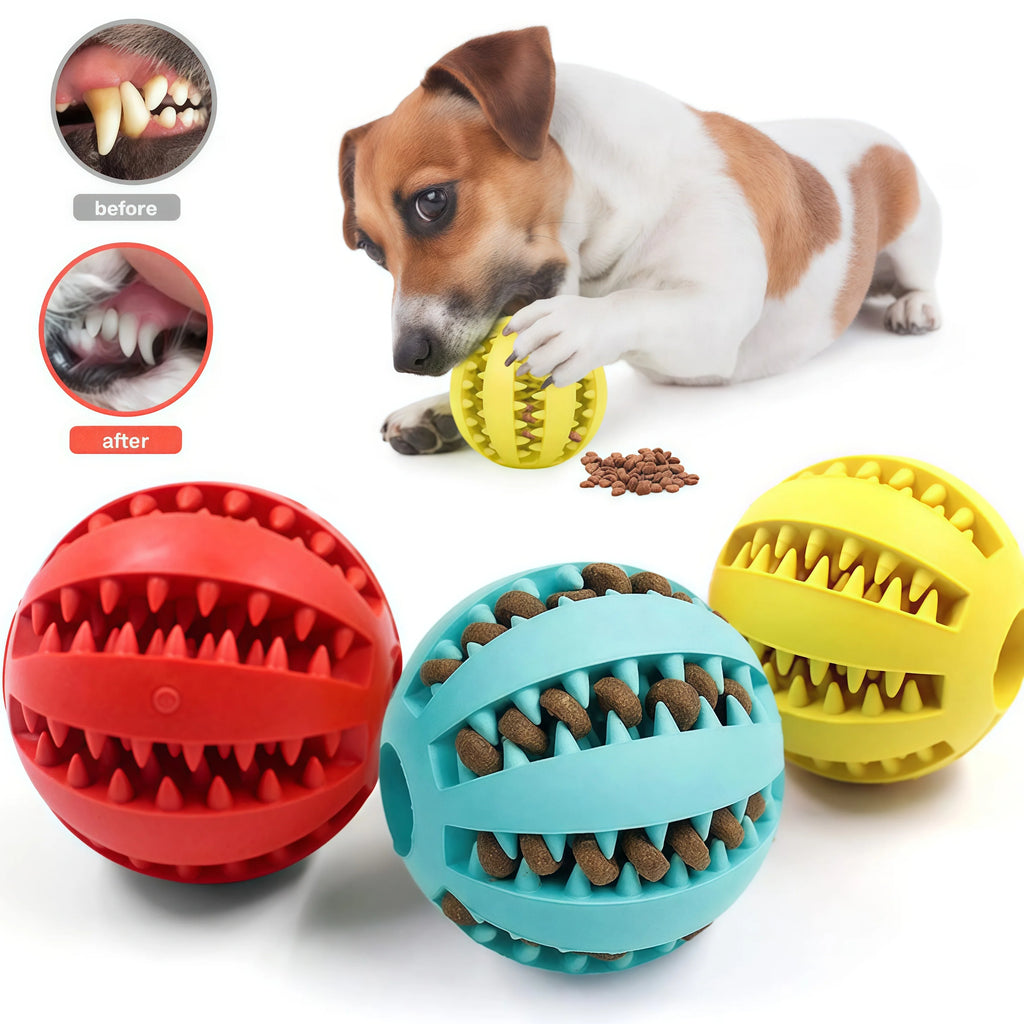 Balle interactive pour chien/chat