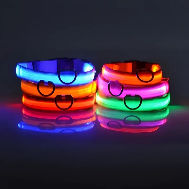 Collier pour chien LED