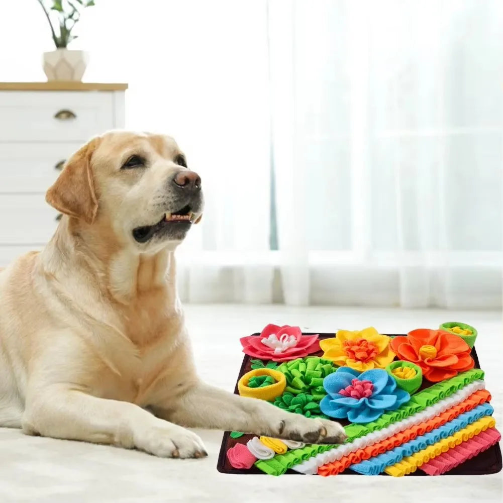 Tapis de fouille pour chiens et chats