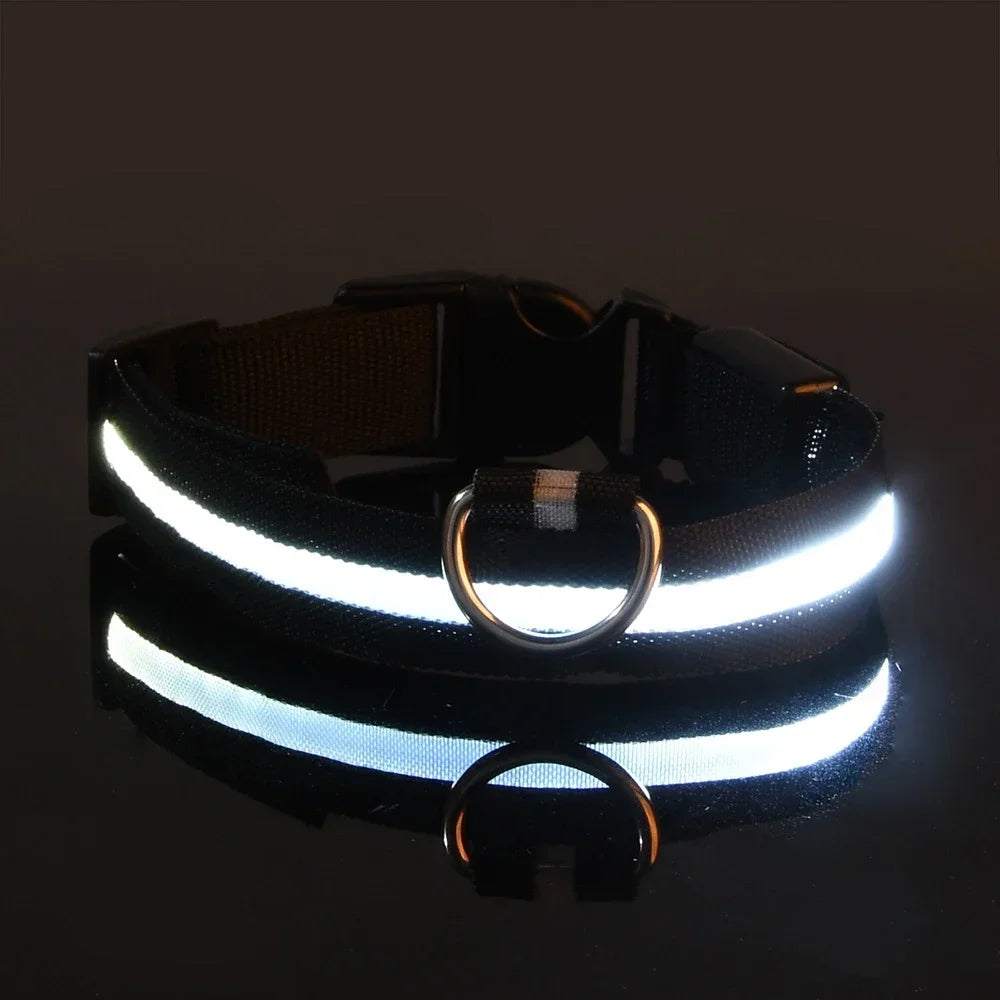 Collier pour chien LED