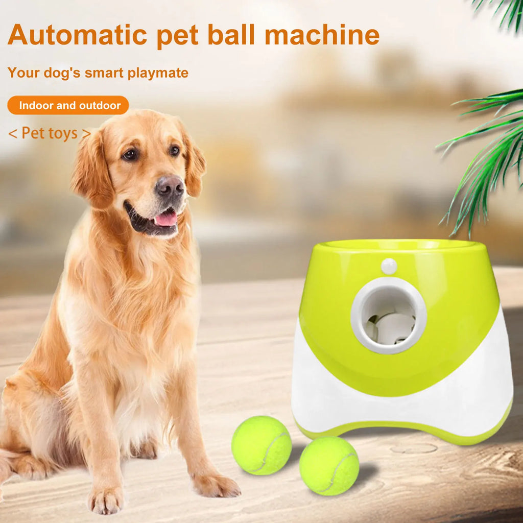 Lanceur de balles de tennis automatique pour chiens