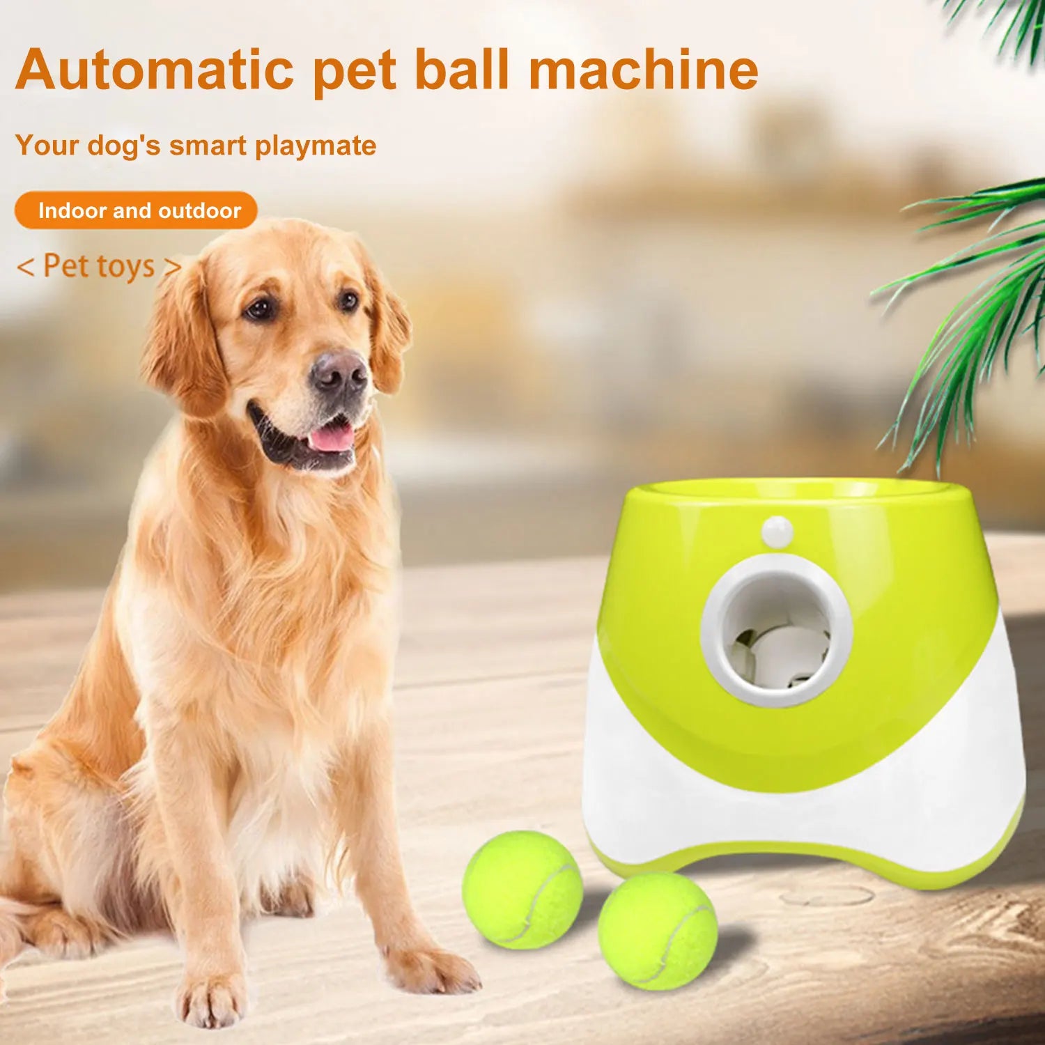 Lanceur de balles de tennis automatique pour chiens
