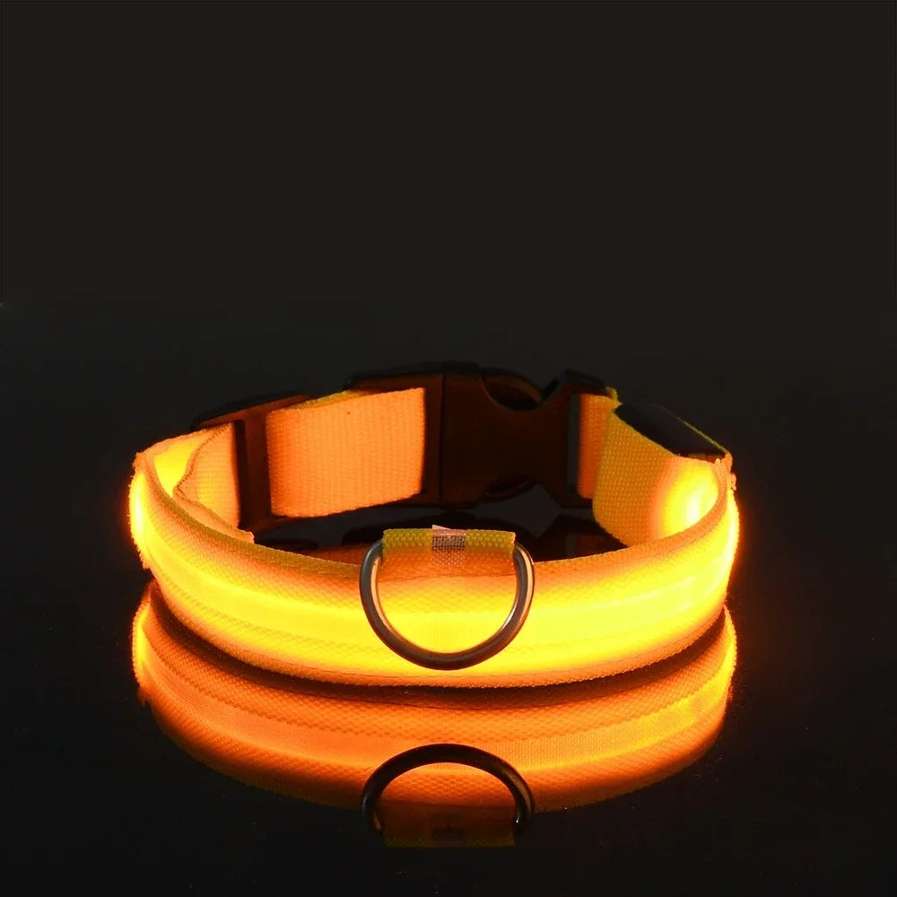 Collier pour chien LED