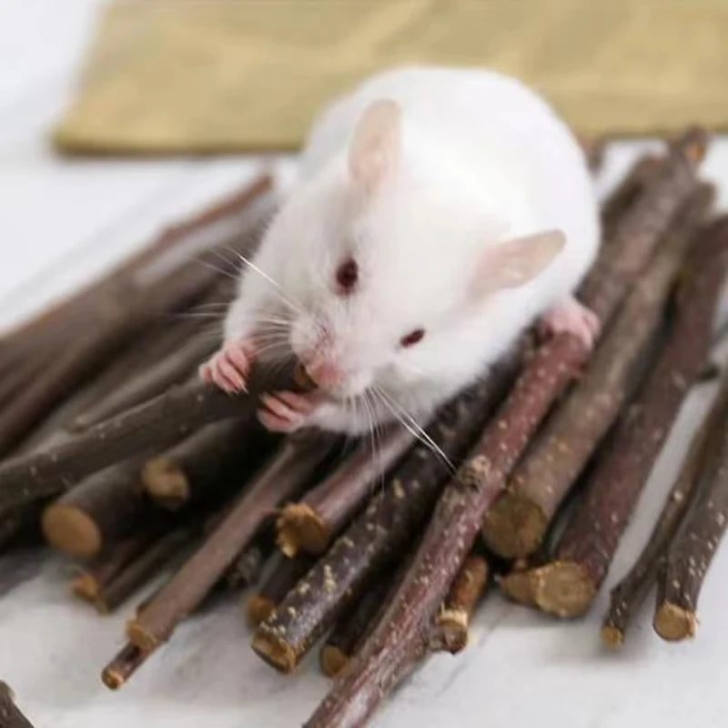 Jouets à roulettes pour petits animaux (cochon d'Inde, lapin, hamster)