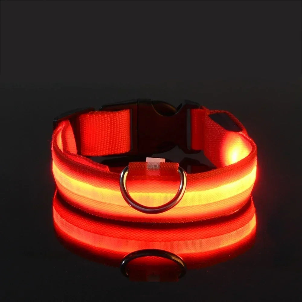 Collier pour chien LED