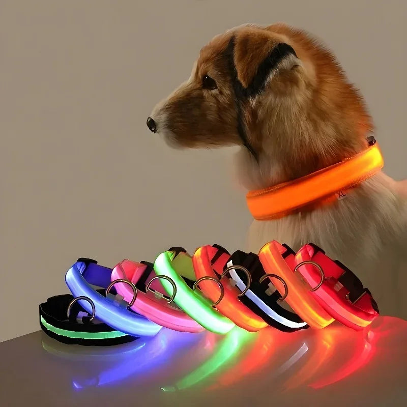 Collier pour chien LED