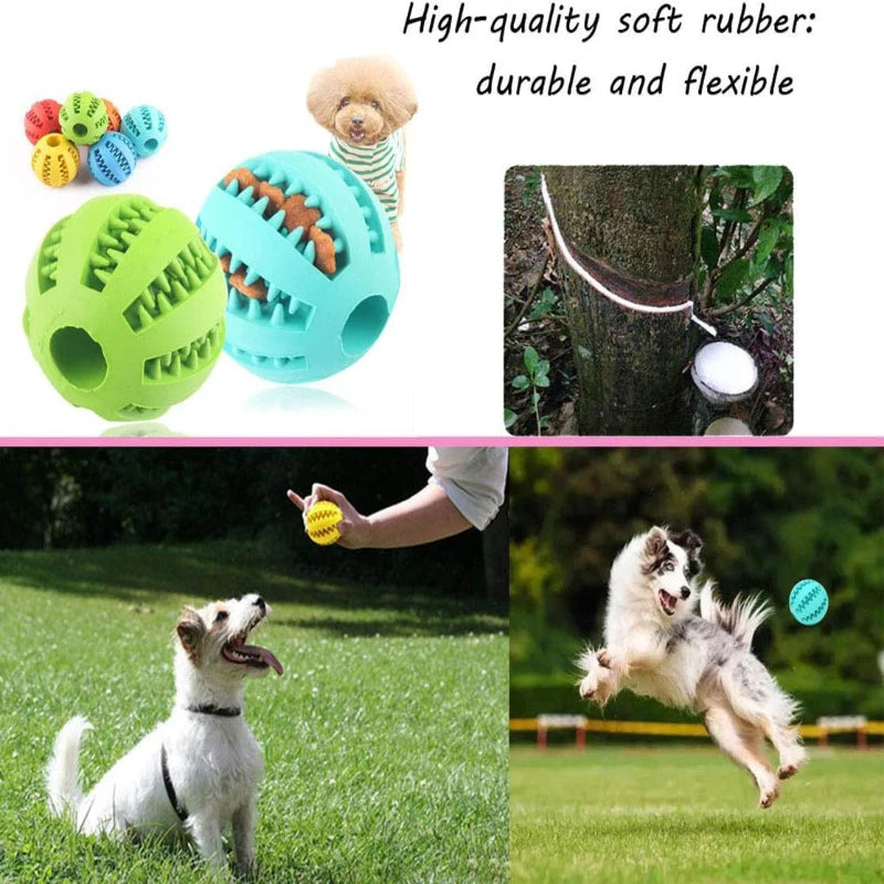 Balle interactive pour chien/chat