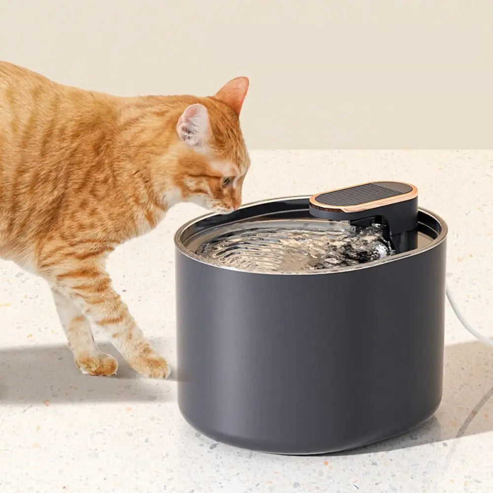 Fontaine à eau automatique pour chat de 3 litres
