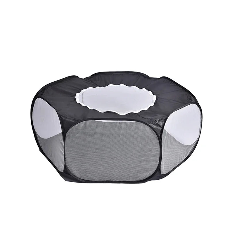 Cage portable transparente pour petits animaux de compagnie