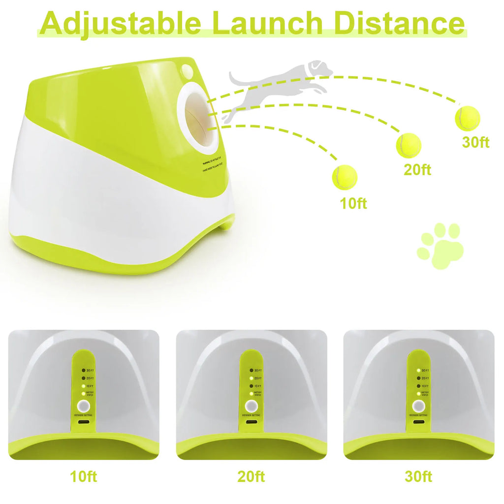 Lanceur de balles de tennis automatique pour chiens