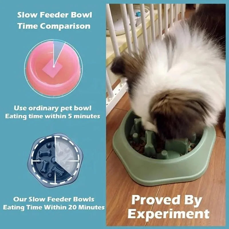 Gamelle anti-glouton antidérapante pour chien et chat