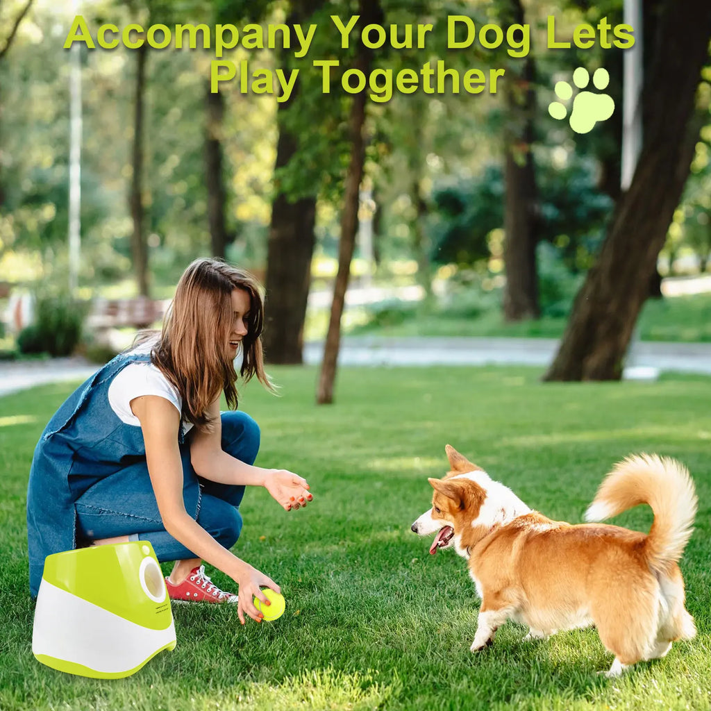 Lanceur de balles de tennis automatique pour chiens