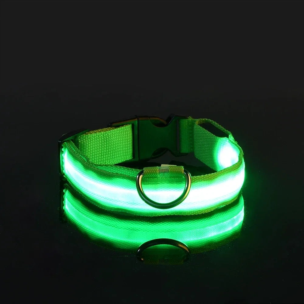 Collier pour chien LED