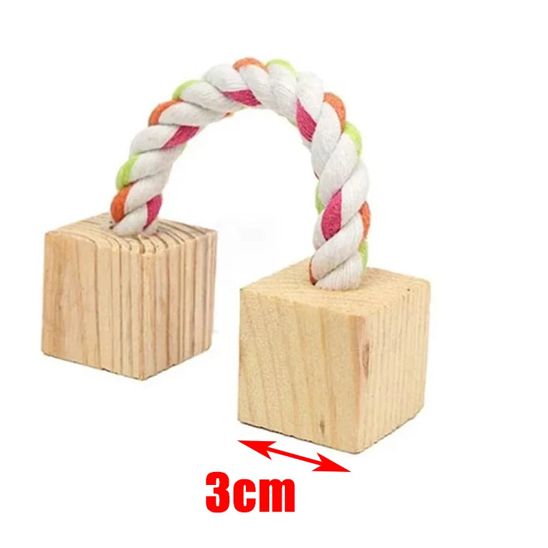 Jouets à roulettes pour petits animaux (cochon d'Inde, lapin, hamster)