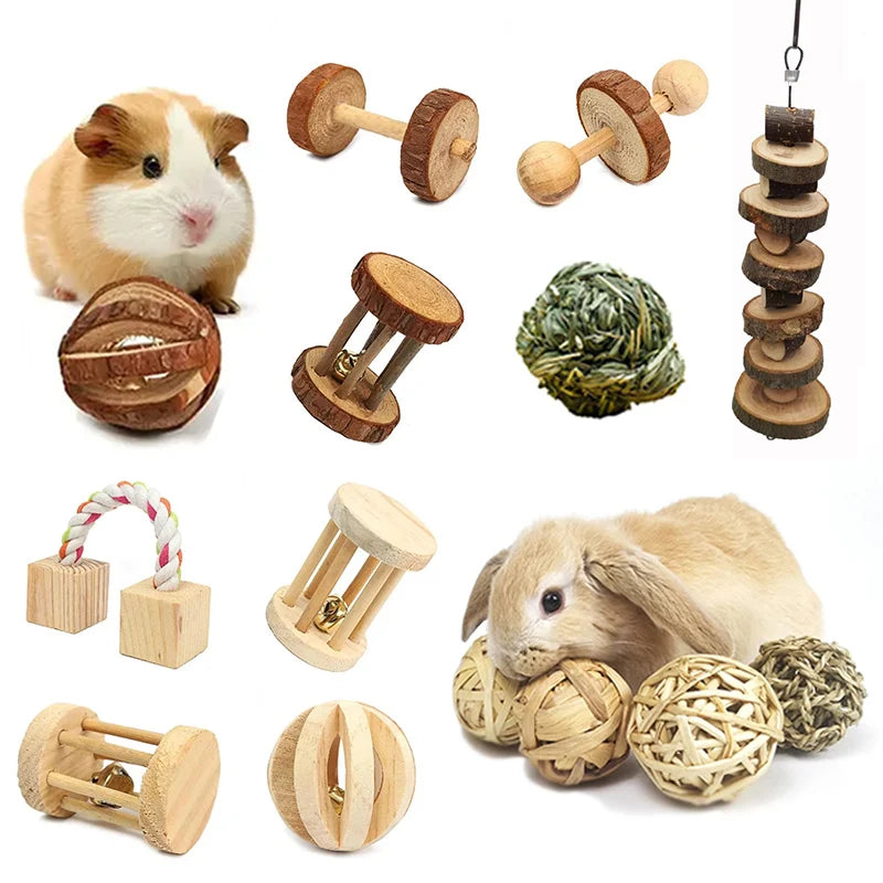 Jouets à roulettes pour petits animaux (cochon d'Inde, lapin, hamster)