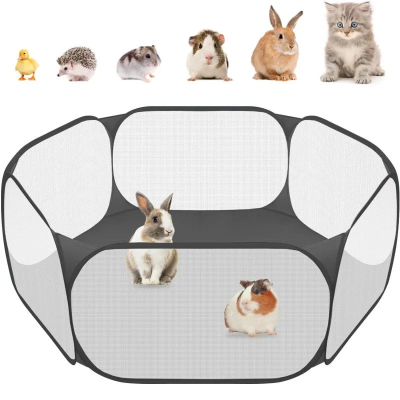 Cage portable transparente pour petits animaux de compagnie